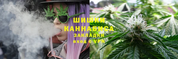 гидра Пестово