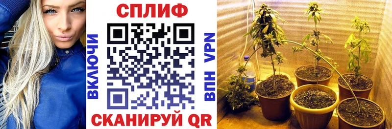 Конопля AK-47  OMG сайт  Усть-Джегута  где купить  